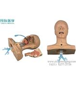 高級吸痰練習模型 醫學教學中的關鍵技術訓練儀器